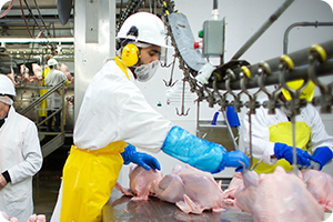 Poultry processing worker