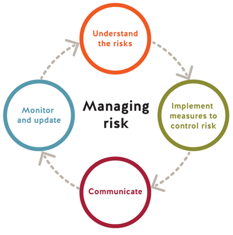 diagram showing the four steps of managing risk